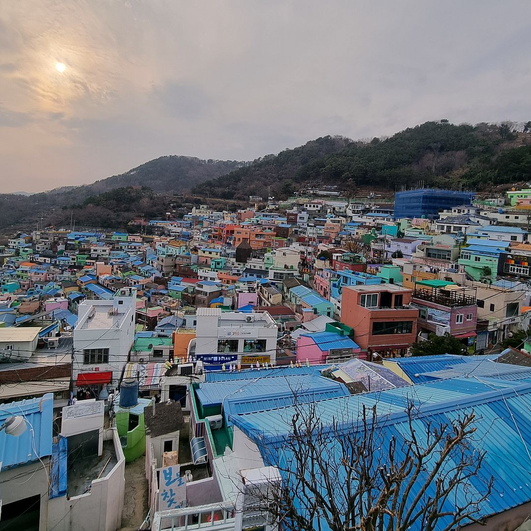 a trip to Busan