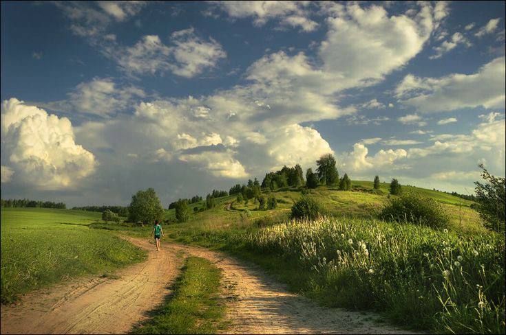 path through the field