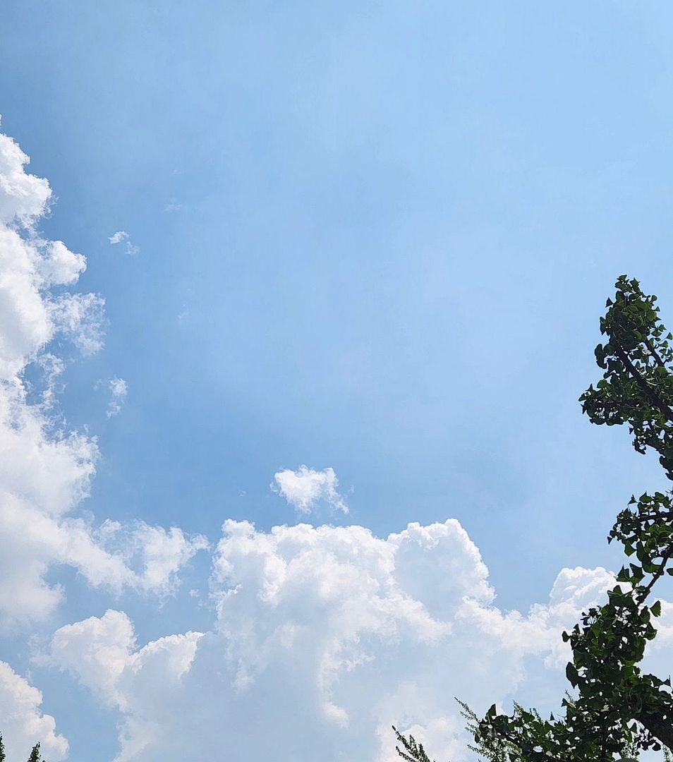 여름날 하늘 ☁️