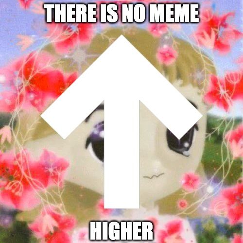 there is no meme