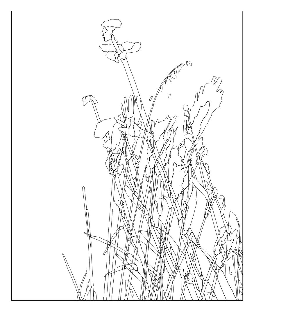 PLANTS;;;;lineart----