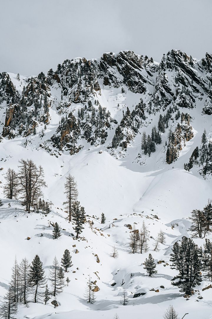 a mountain covered in snow with trees on the side