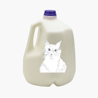 Milk