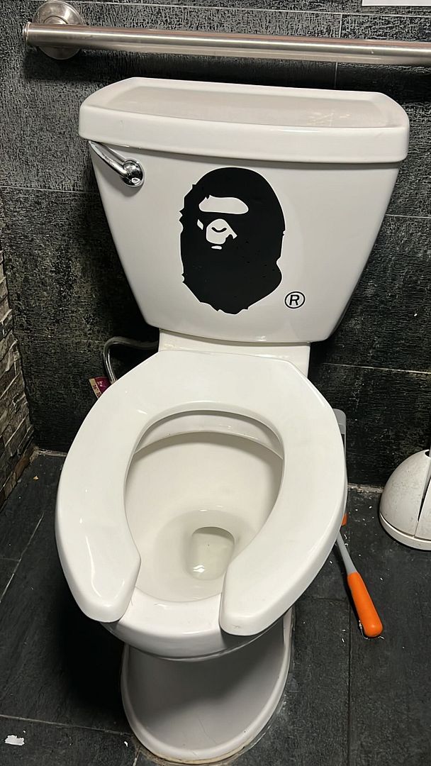 Bape toilet