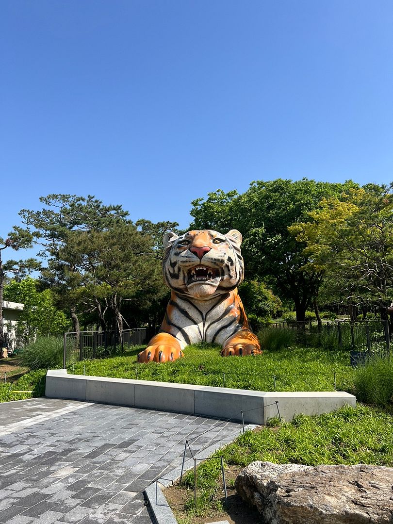 Gwacheon Grand Park 💕 Tiger statue ❤️ Good weather~🌟