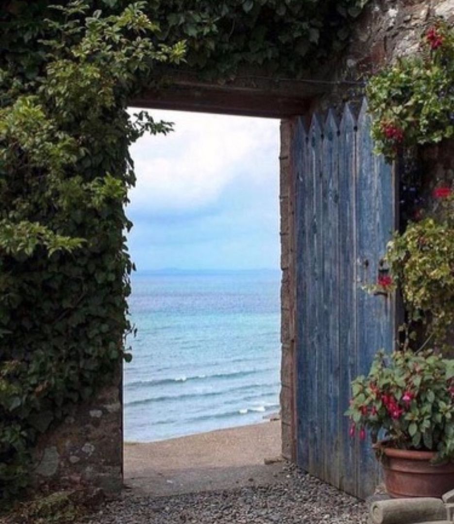 Portal to Ocean