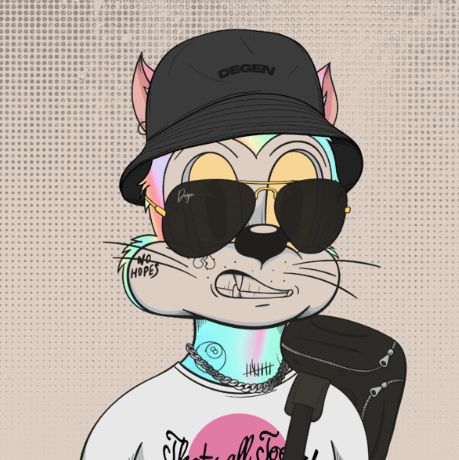 The hipster cat