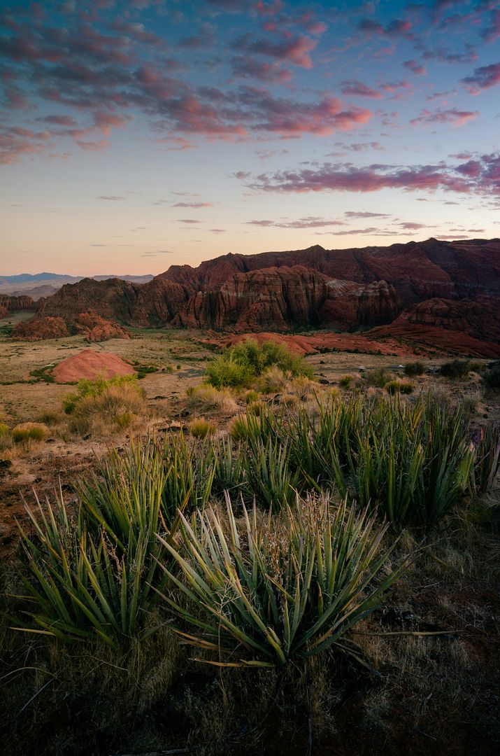 A stunning sunset in Snow Canyon National Park