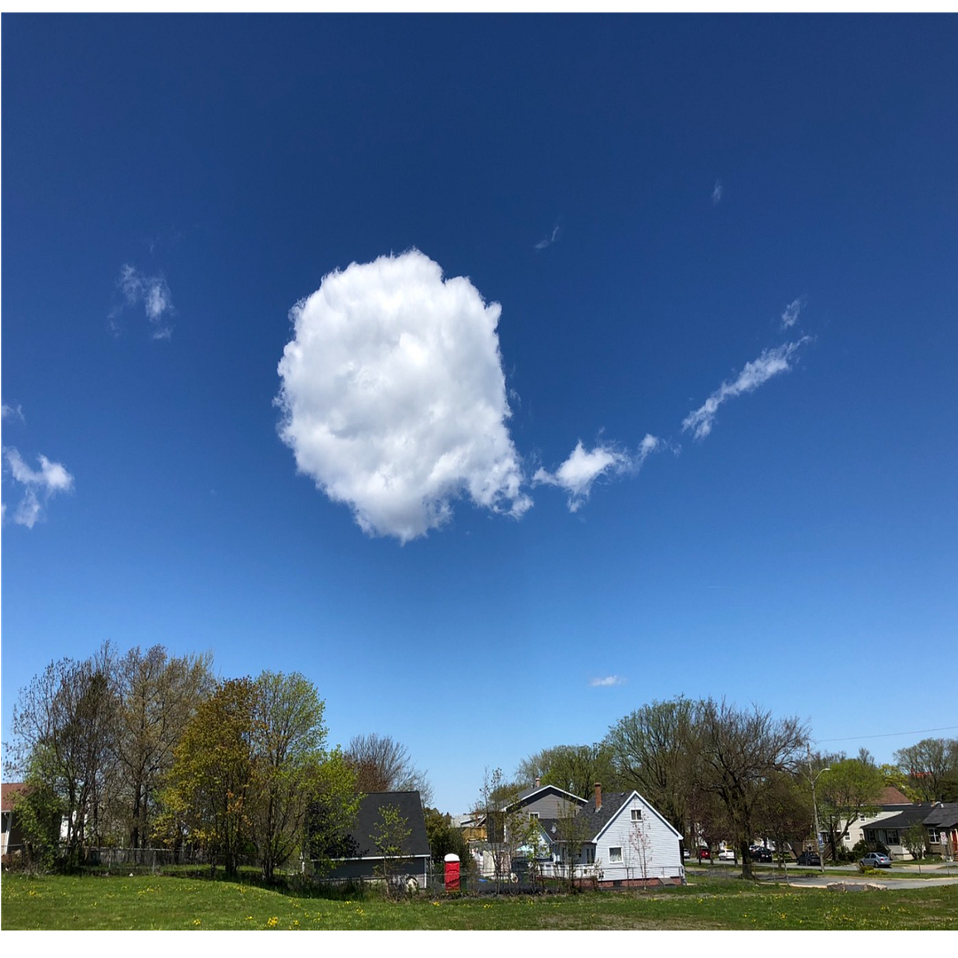 Sunny day in Halifax, Canada