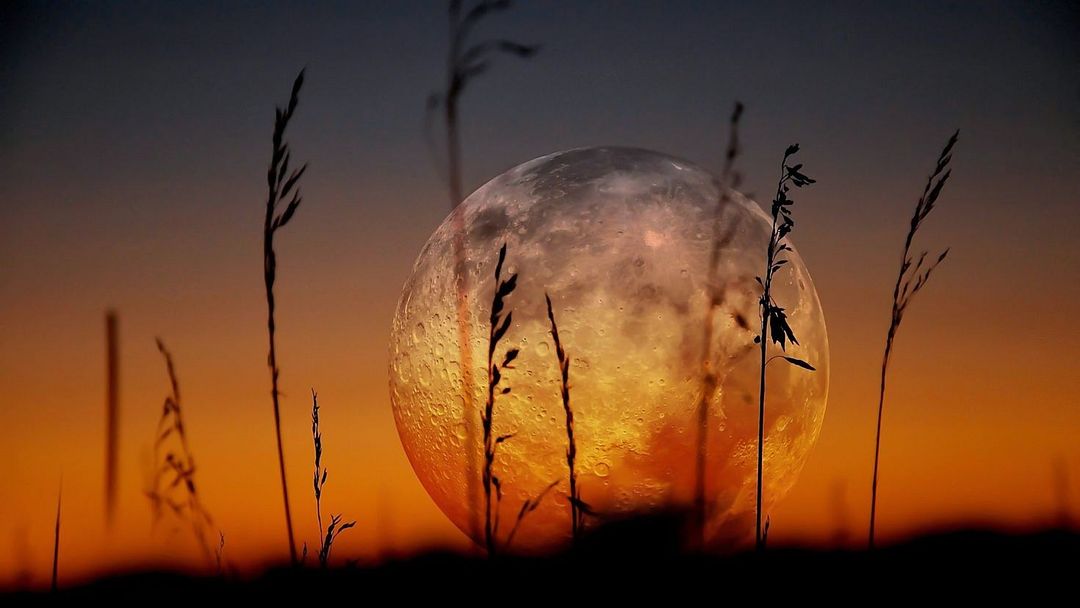 moon at sunset