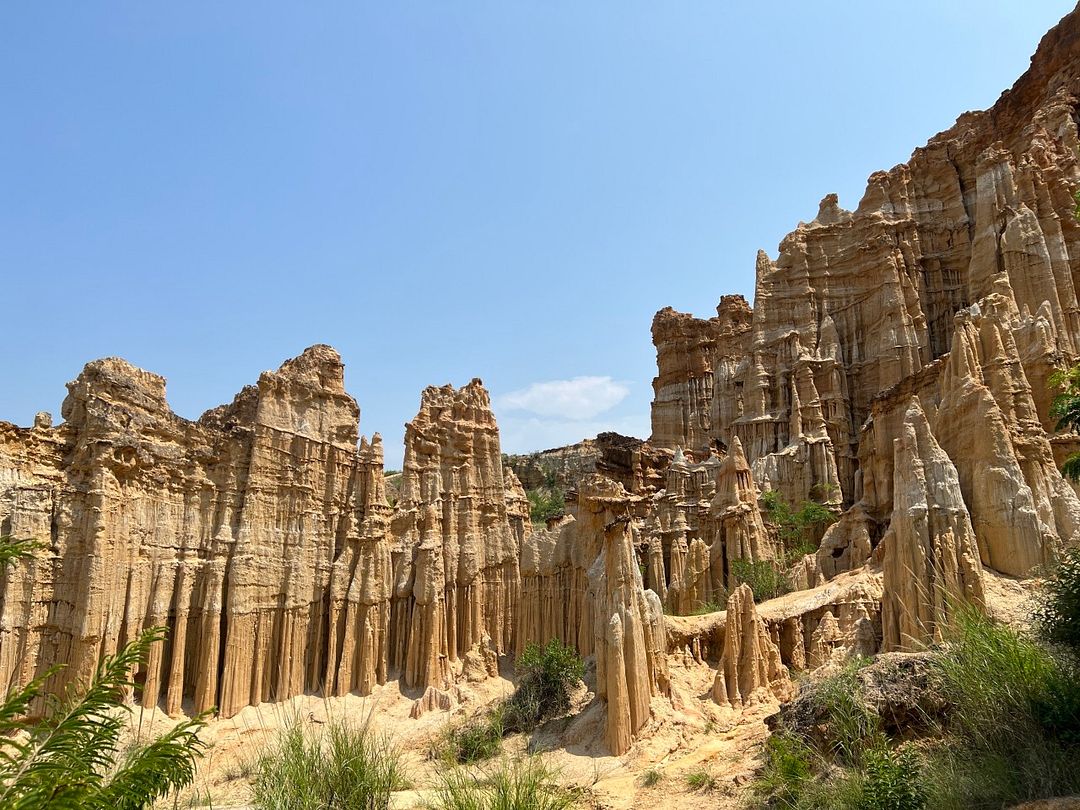 쿤밍 토림 (Kunming Soil Forest)