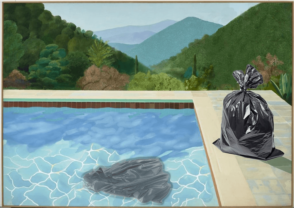 Portrait of an artist (a pool with two trash bags)