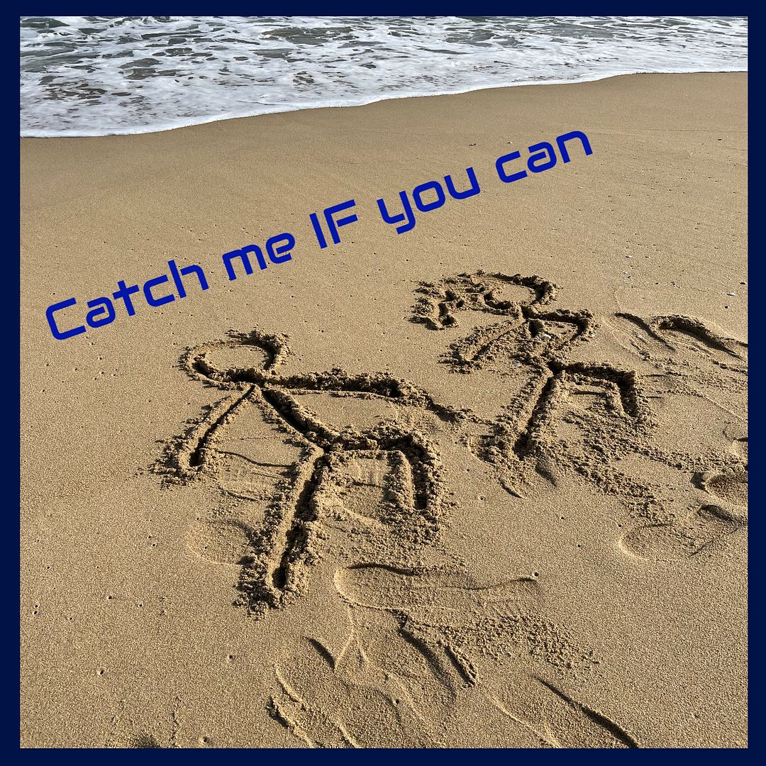 Catch me IF you can