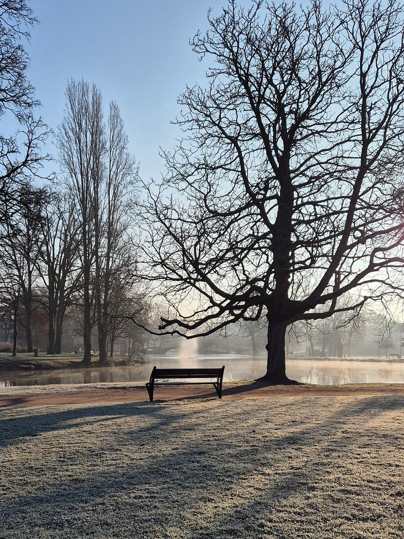 Winter morning