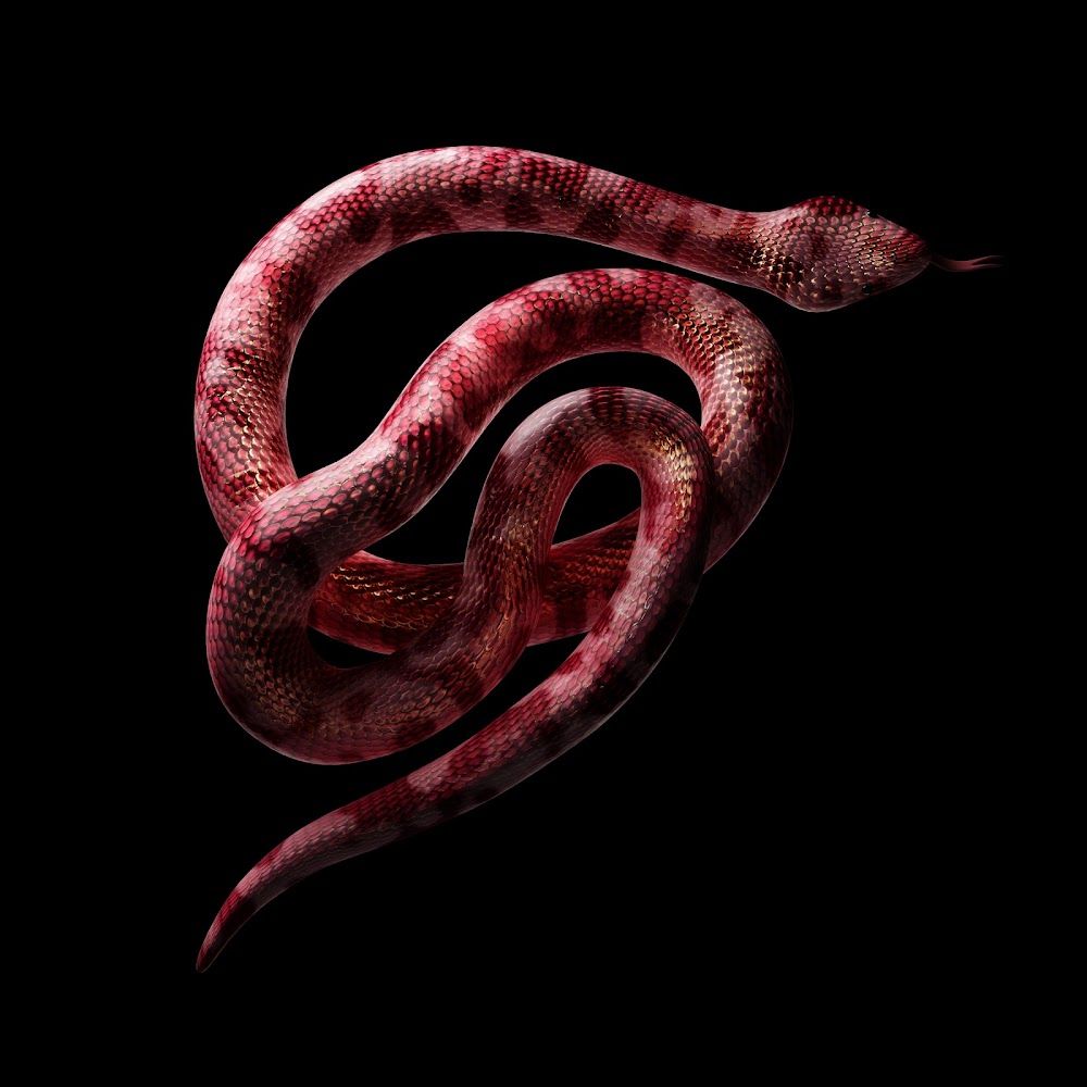 snake