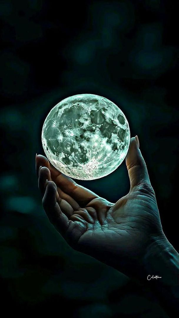 Moon🌚