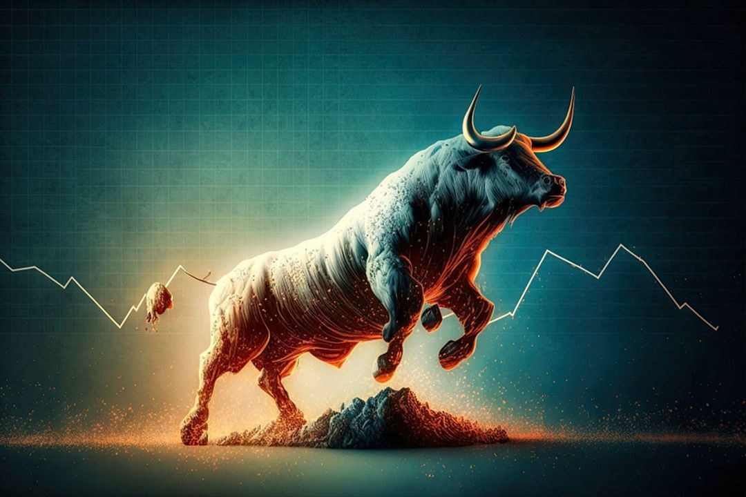 bull_run