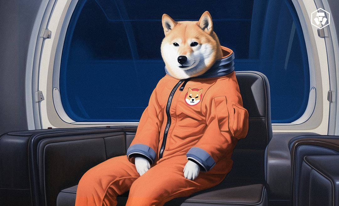 Shiba Coin