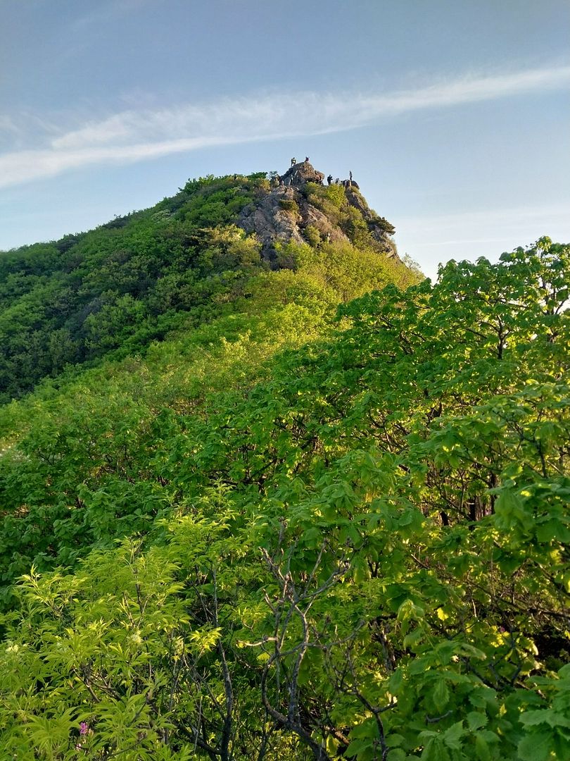 산 엔