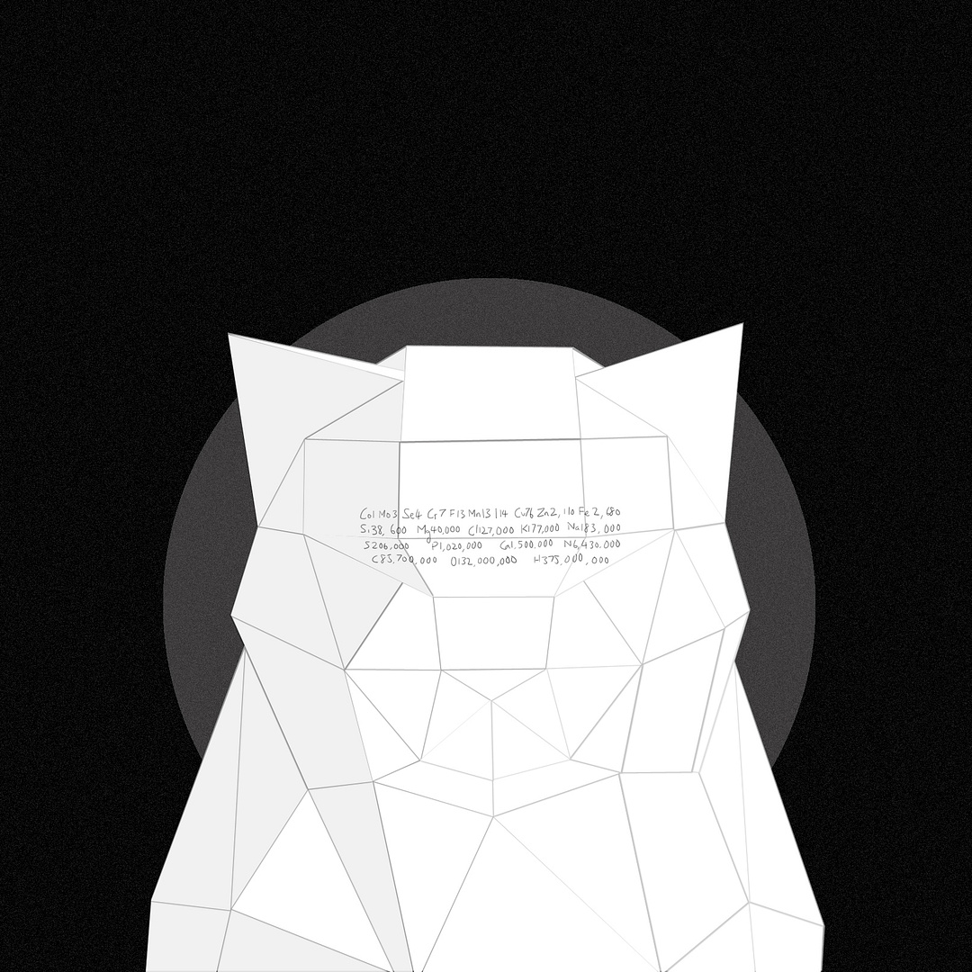 DiamondCat #0044