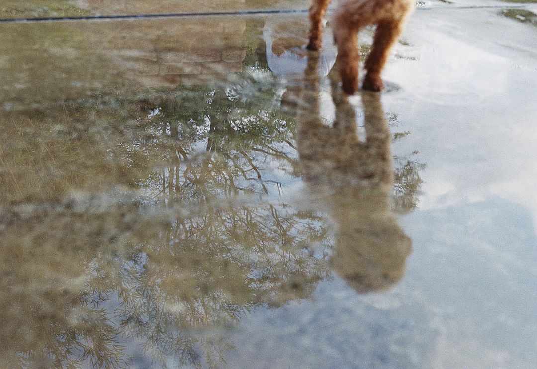 OnchainSummer playing in water