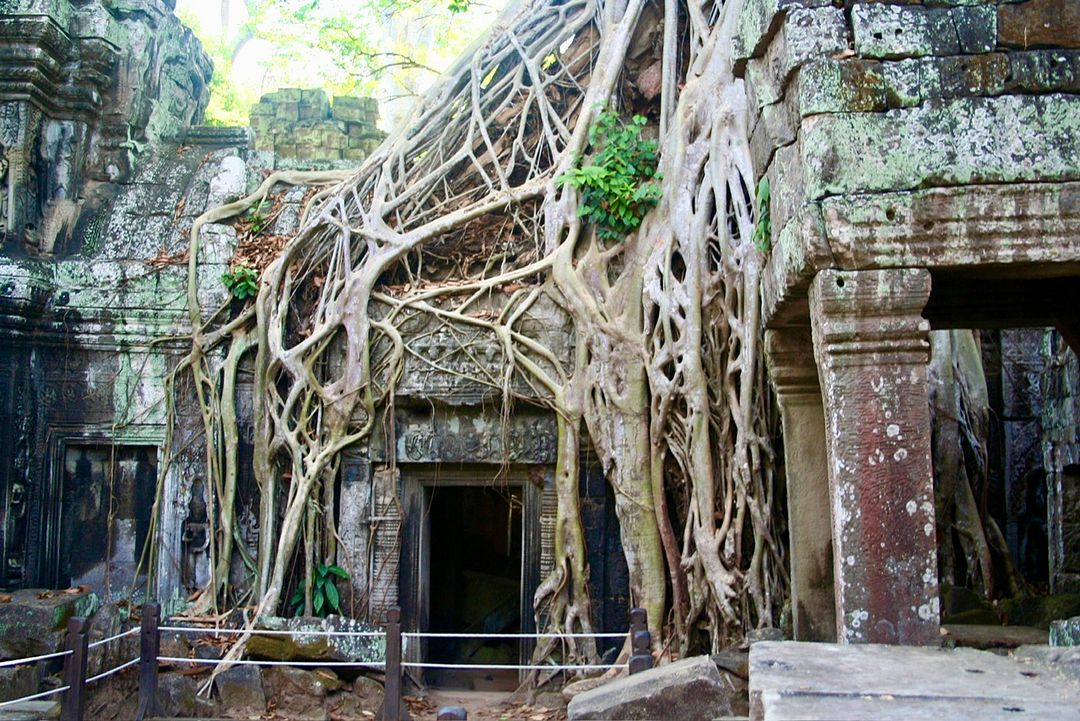 Ta Prohm, Siem Reap, Cambodia #02