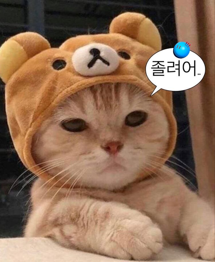 졸려어