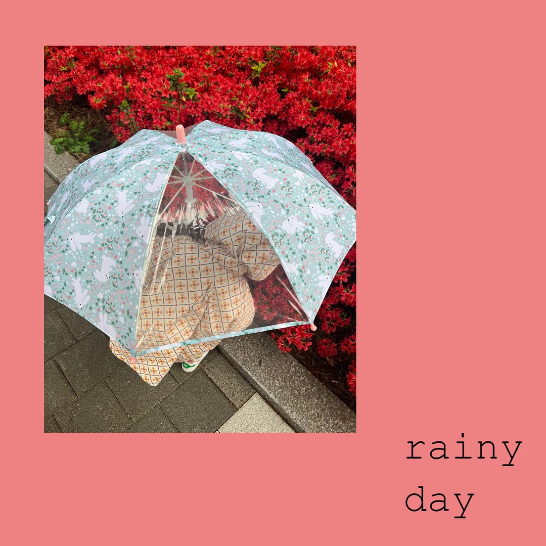 rainy day