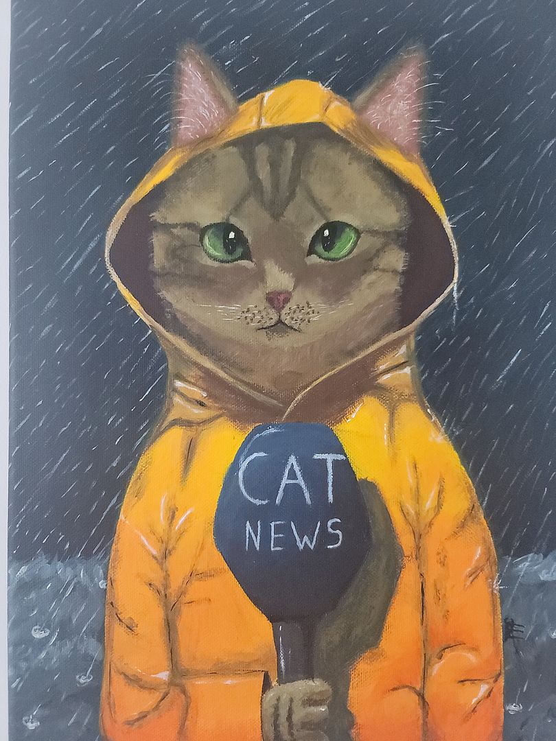 CAT NEWS