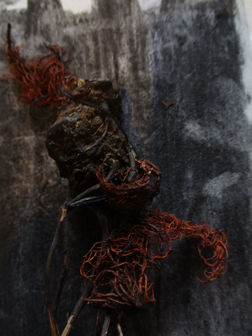 caraguatá root, stone beard, willow charcoal and blue thread