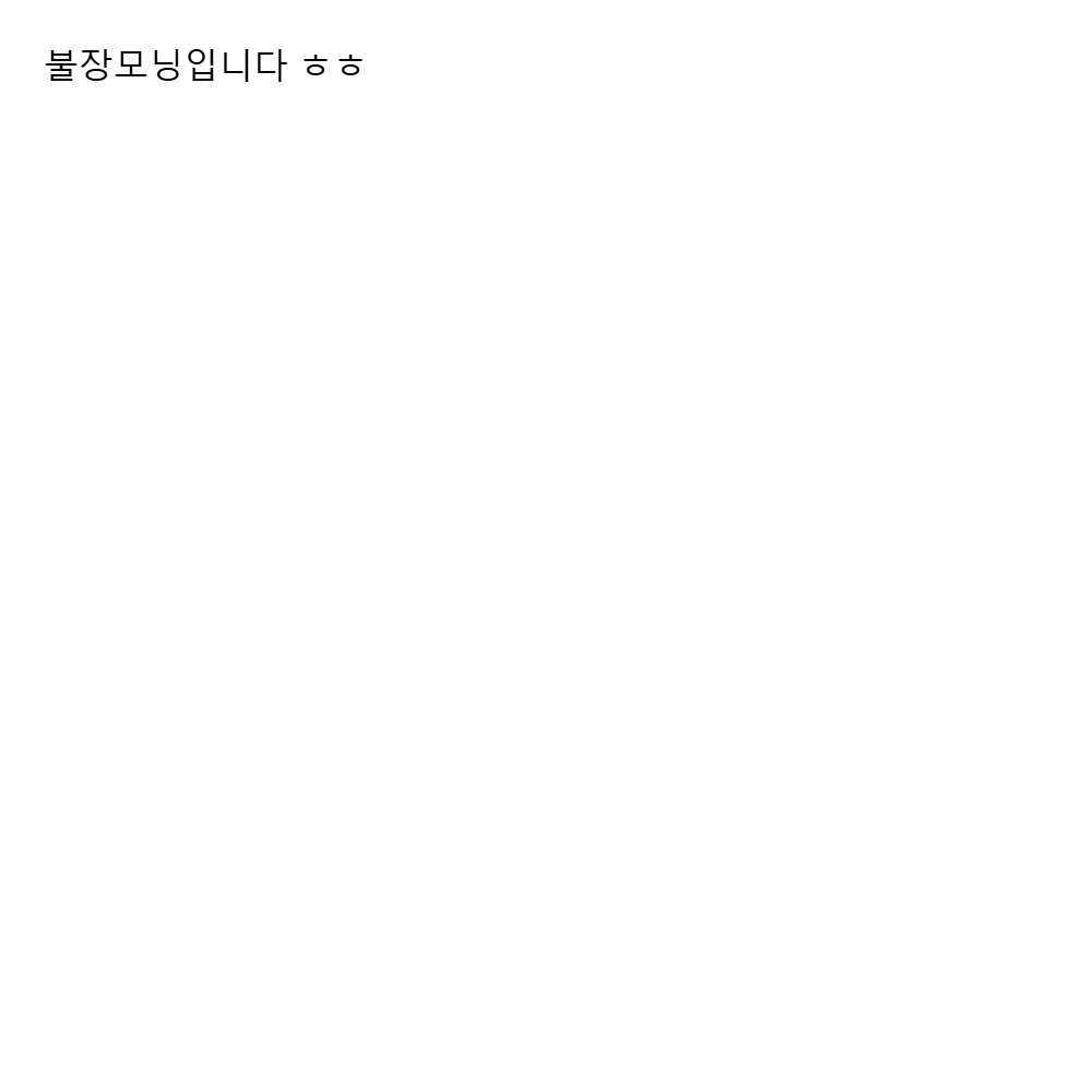 불장모닝입니다 ㅎㅎ