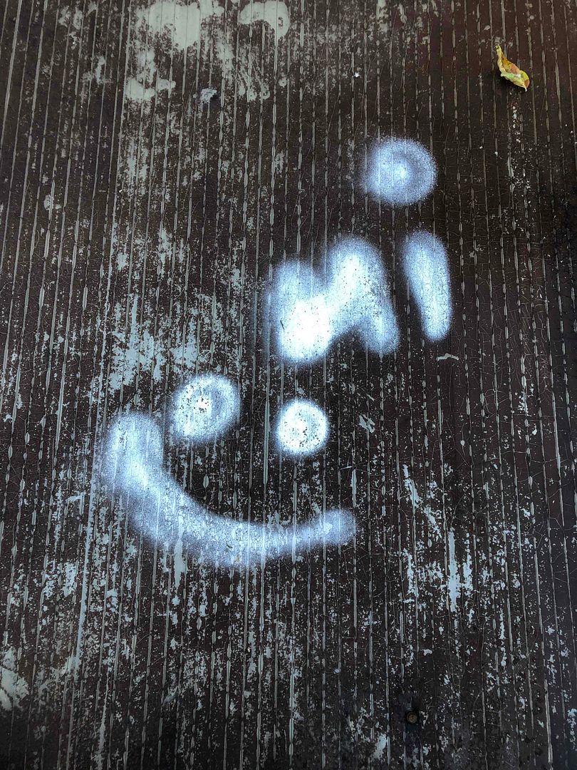 Say Hi to the Smile on the Pavement