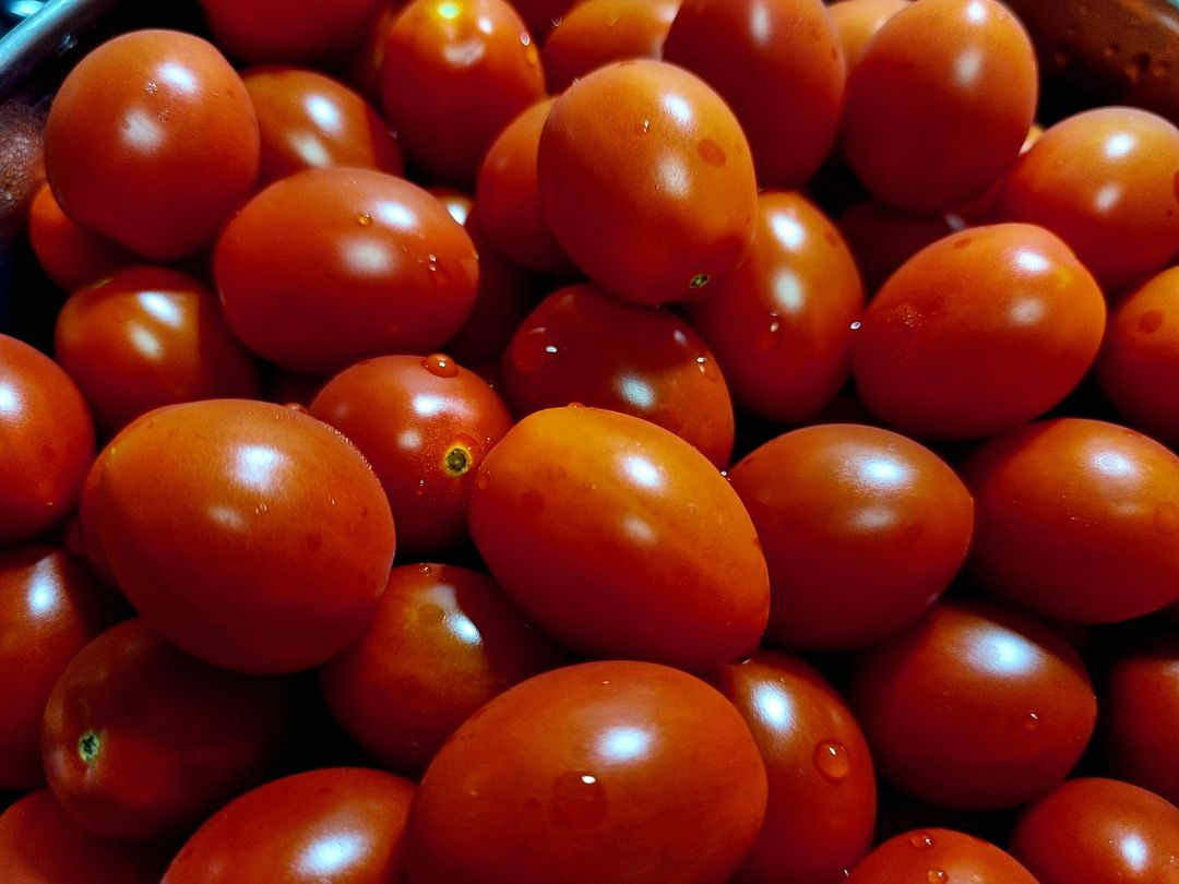 tomatomatomatomatomatomato