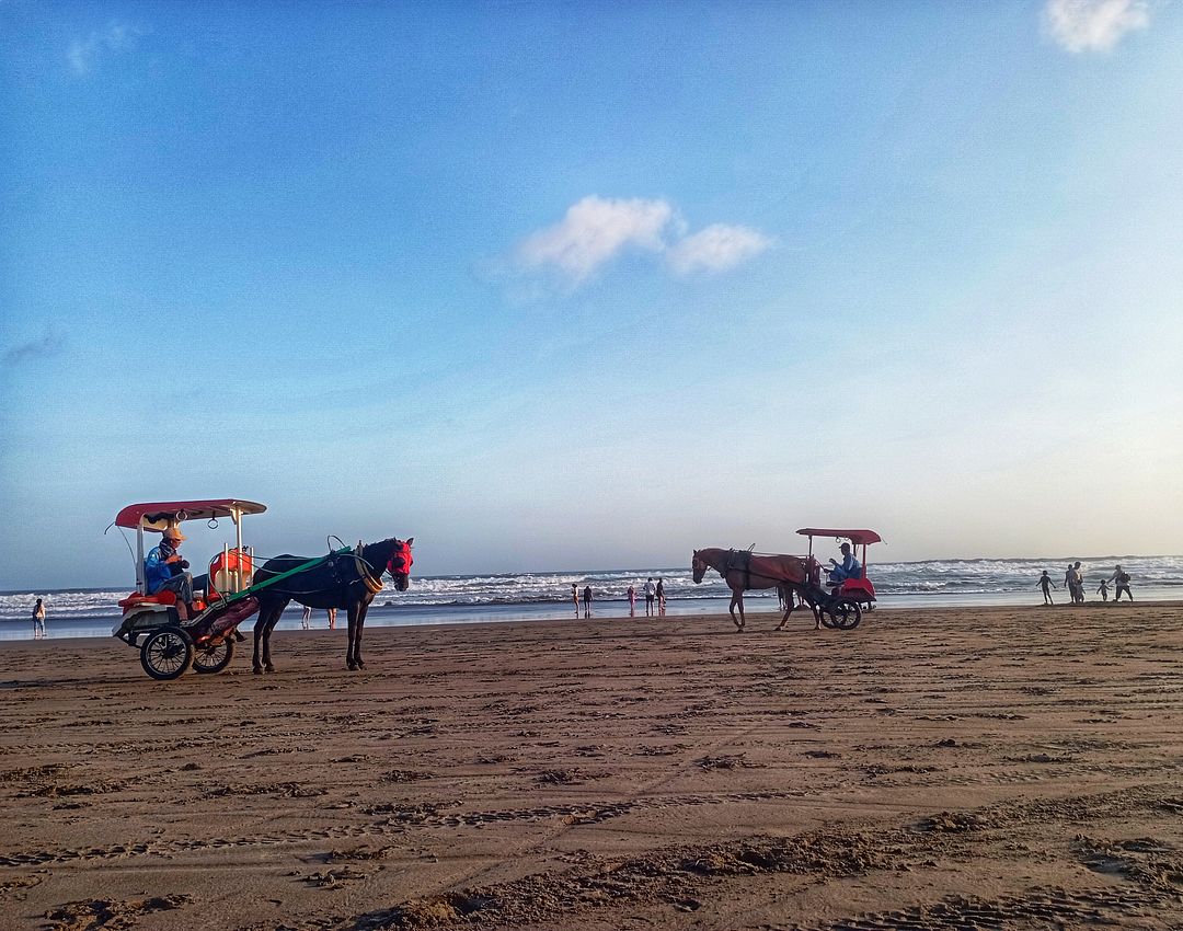 beach transportation