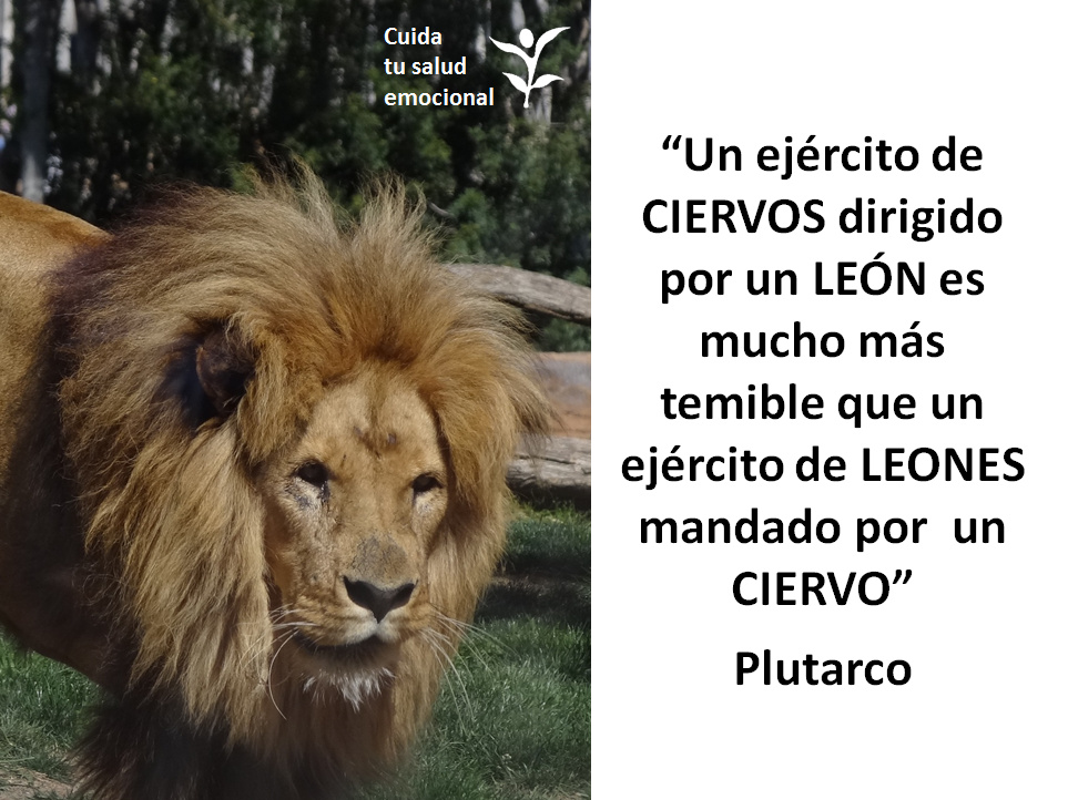 Leones y ciervos