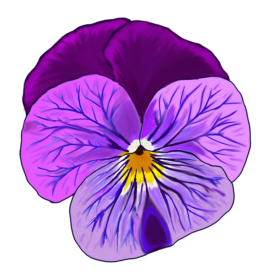 pansy + DEGEN COLOR