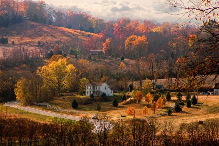 houses in the autumn forest