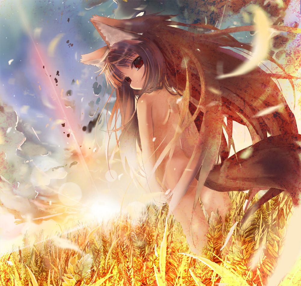 Spice and wolf