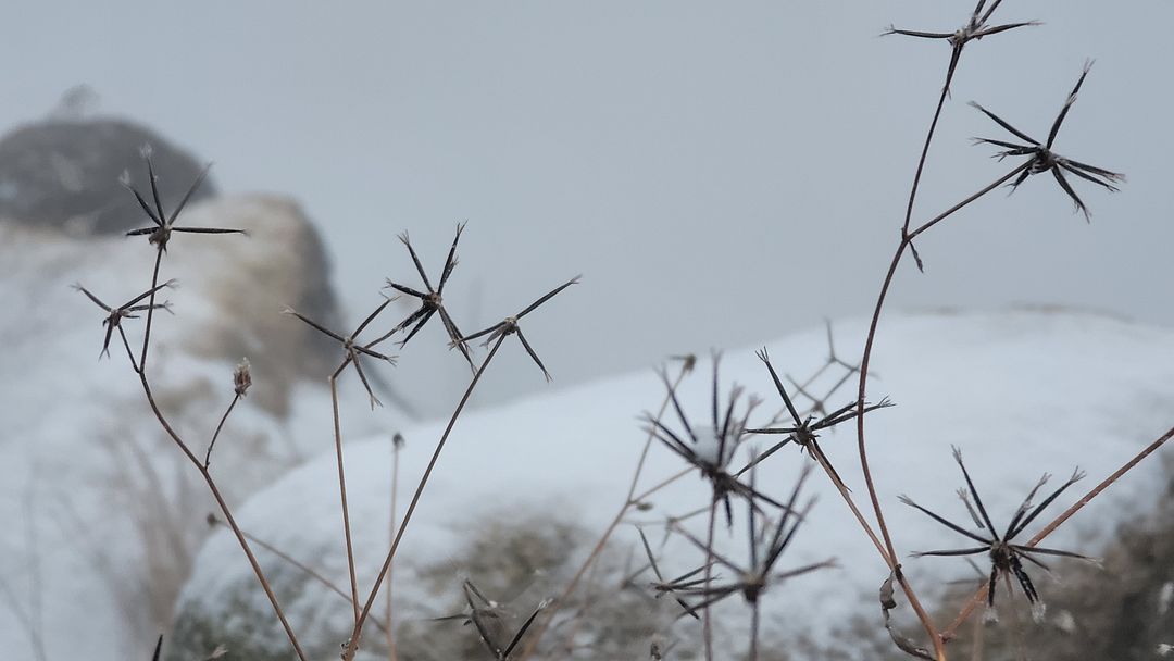 Early winter scenery!-201213