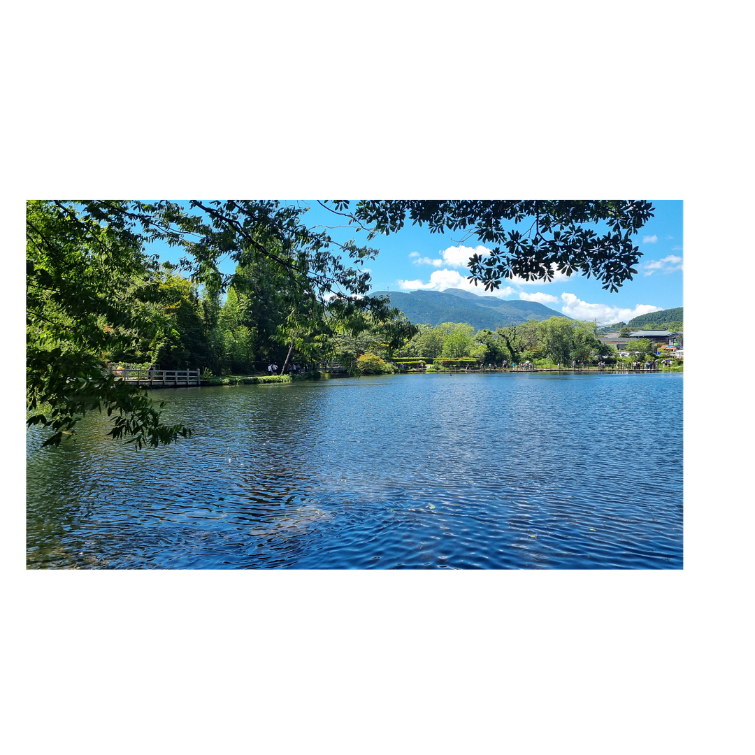 peaceful lake sight