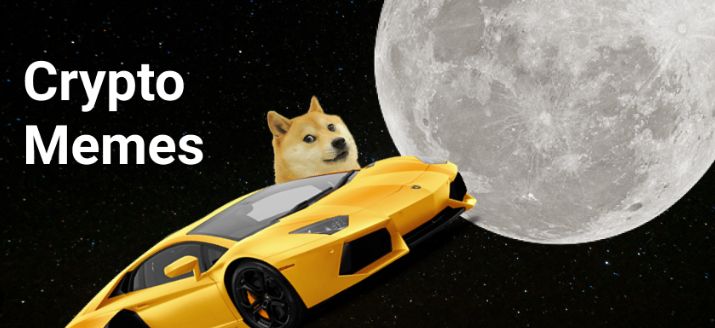 To the moon!