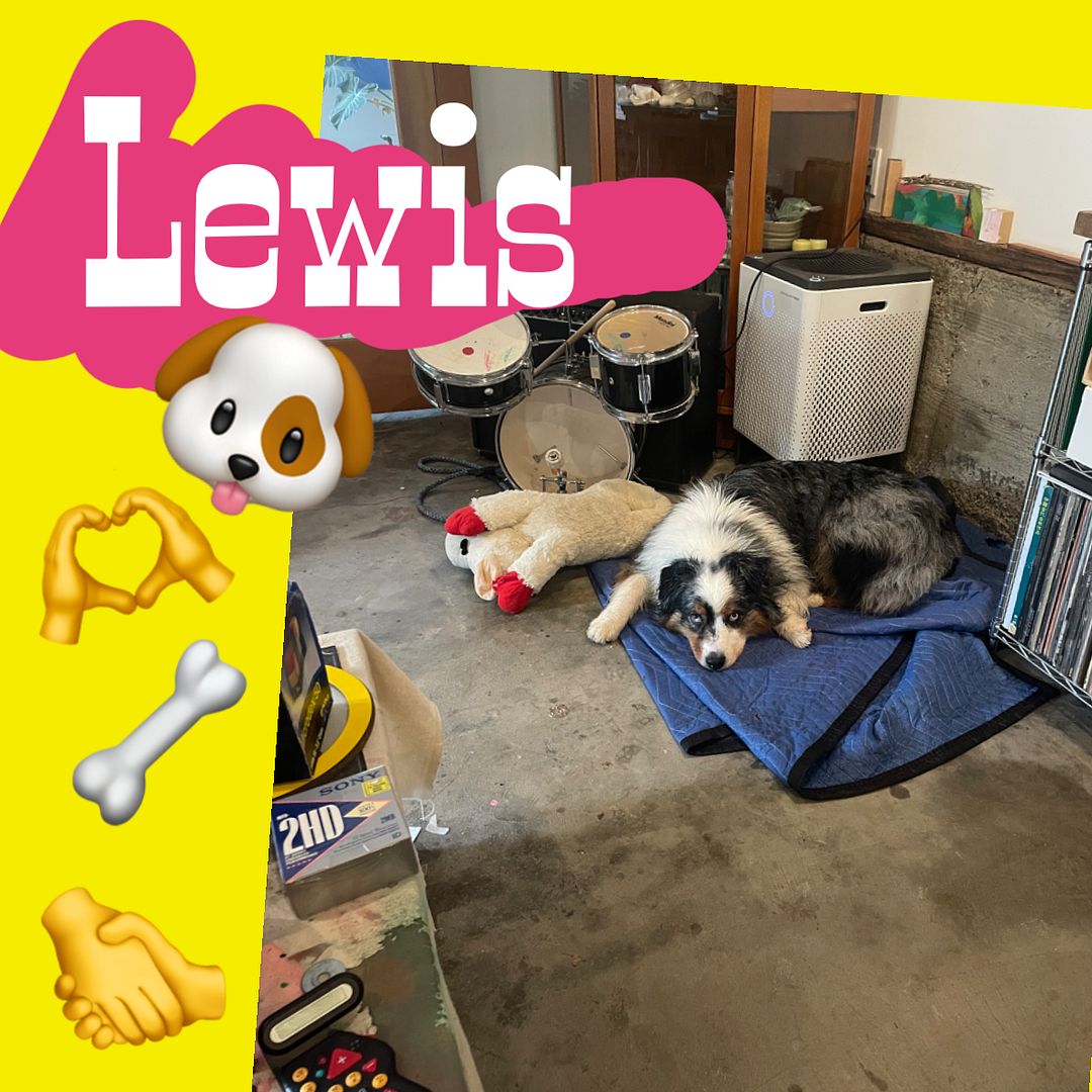 Meet Lewis