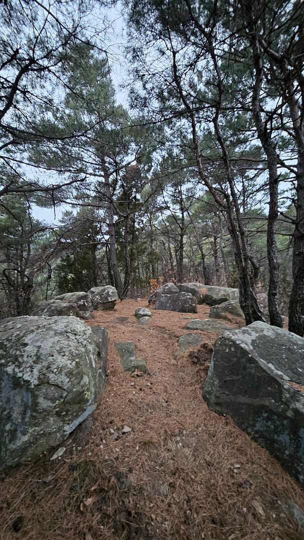 Small rock clusters on the pine tree path of Mt. Yongdusan! 250105 Daegu, Korea.