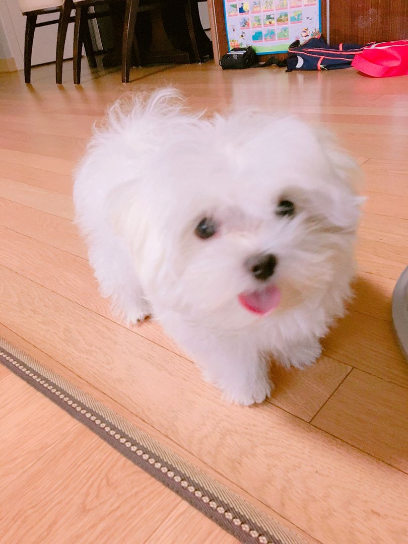 리즈 시절☺️