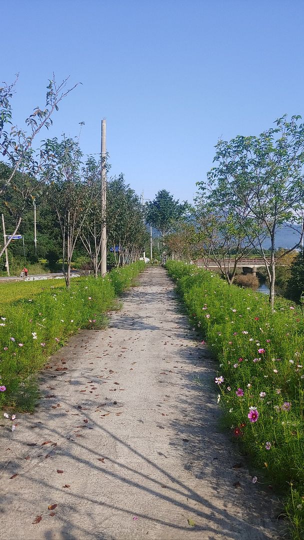 a country road in Korea