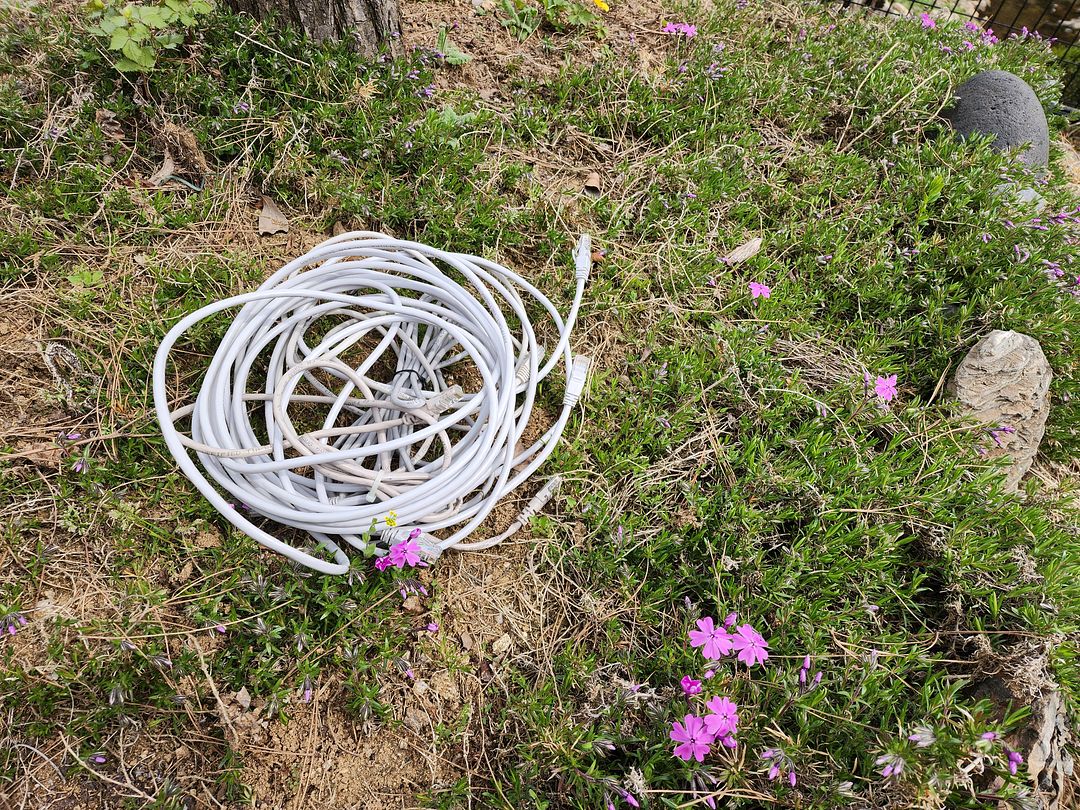 #TouchGrassChallenge, Tree-Planting Day, Korea, 24.4.5