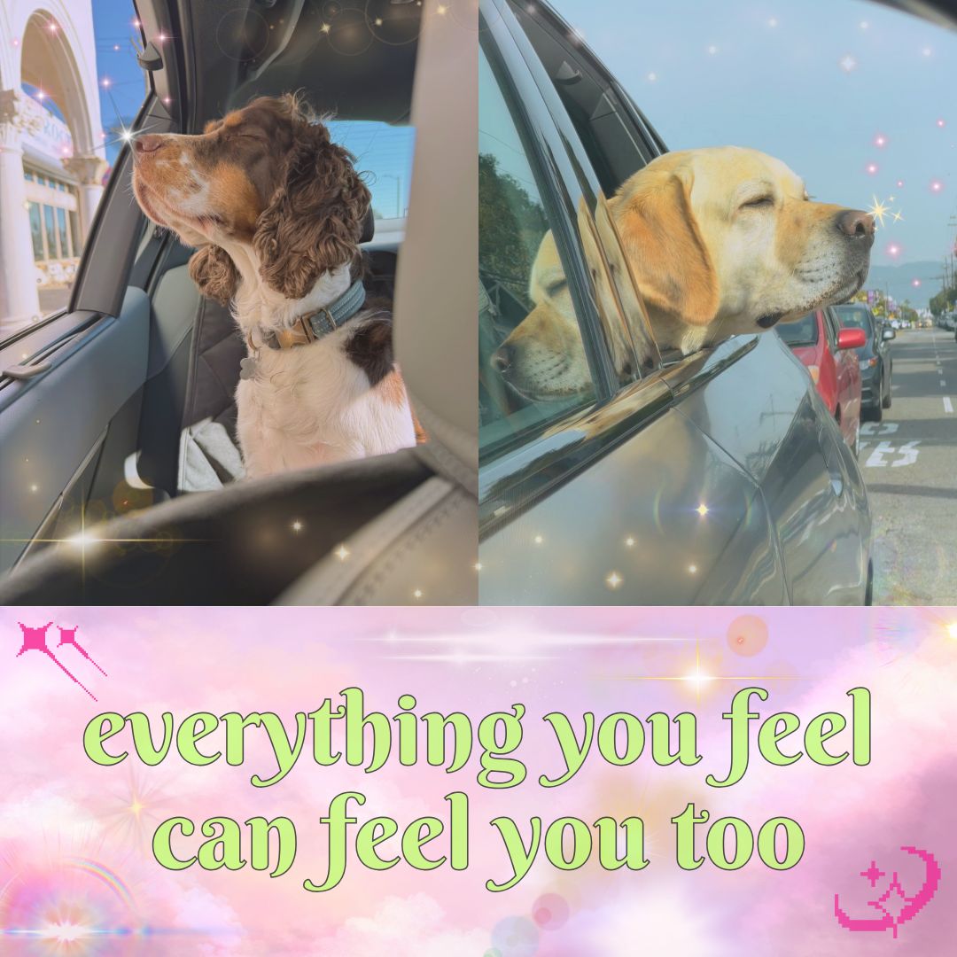 everything you feel