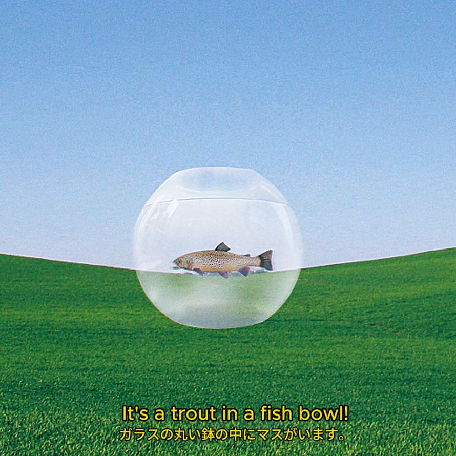 Fish Zorb