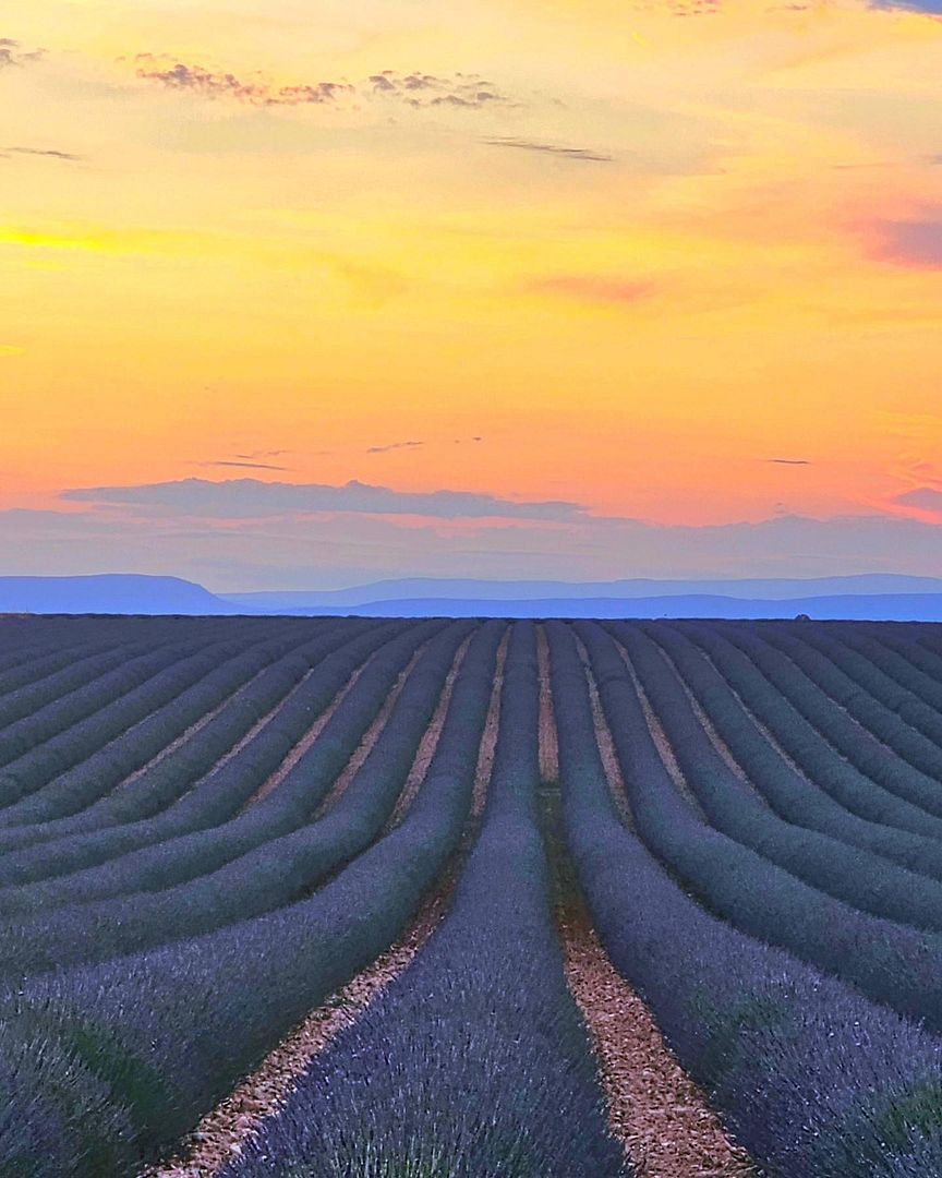 Allemagne-en-Provence(알르마뉴앙프로방스), France