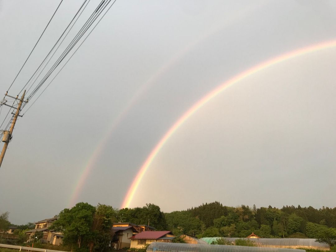 Double Rainbow L